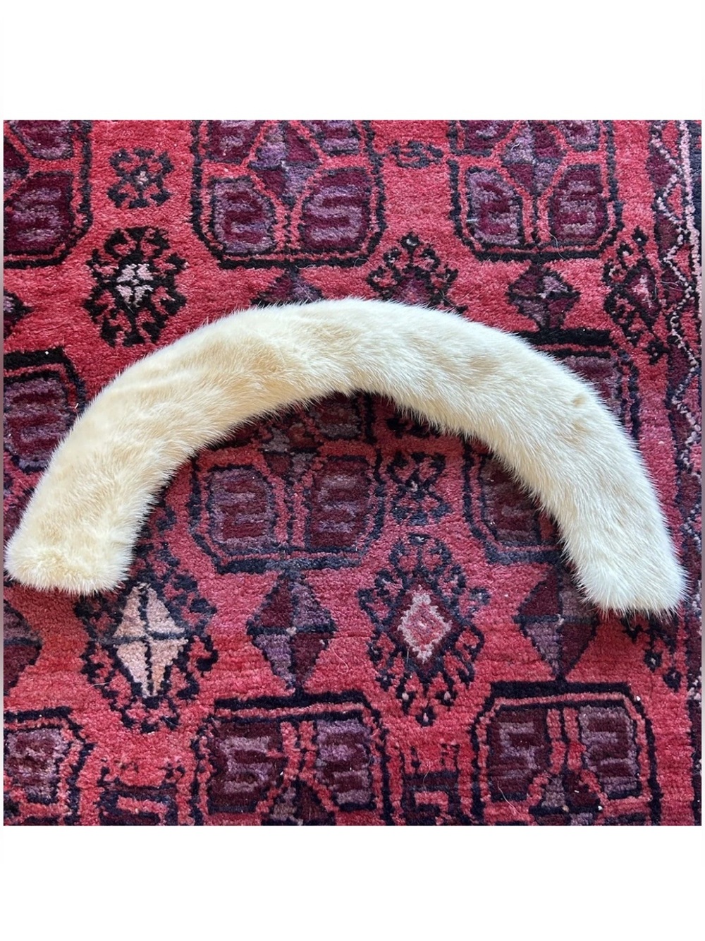 Vintage 50s White Rabbit Fur Collar Genuine Fur Detachable Satin Lined MCM